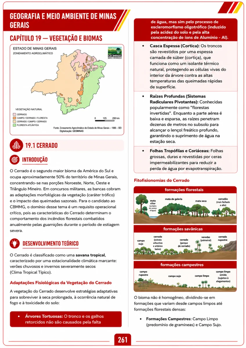 Amostra 6